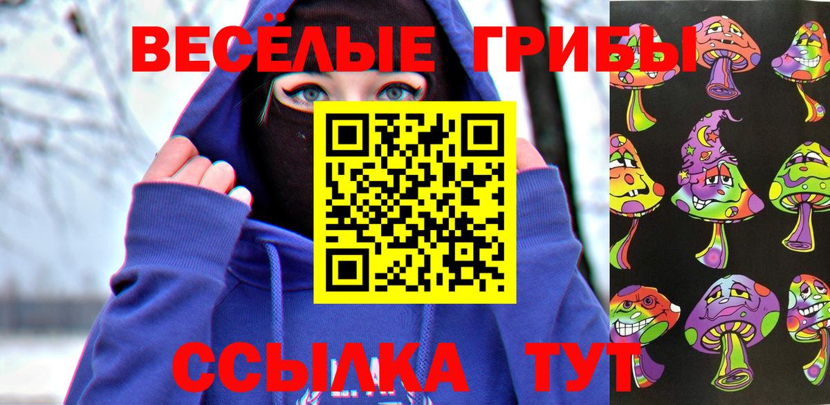 Тимашёвск  Псилоцибиновые грибы MAGIC MUSHROOMS  Вход с VPN  Галлюциногенные грибы ЛСД 