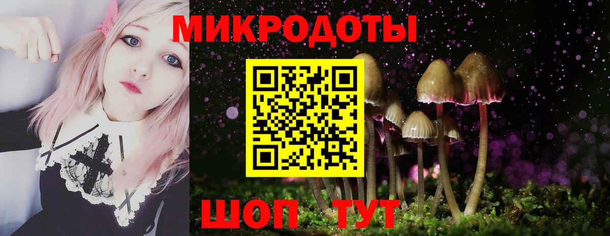 Псилоцибиновые грибы MAGIC MUSHROOMS Тимашёвск
